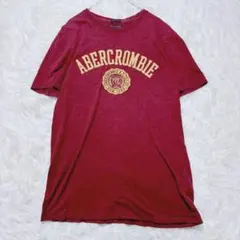 アバクロンビー＆フィッチ　ロゴ　Tシャツ S ボルドー　カジュアル　半袖　大きめのサムネイル