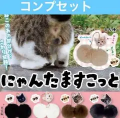 にゃんたますこっと ガチャ コンプセット