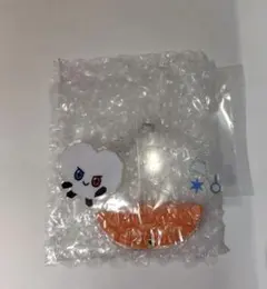 TRUZ treasure シャカシャカアクリルチャーム　ジュンギュ　ガチャ
