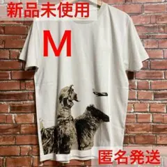 グラニフ 　ペギラ　ウルトラQ コラボ Tシャツ　Mサイズ　ウルトラマン