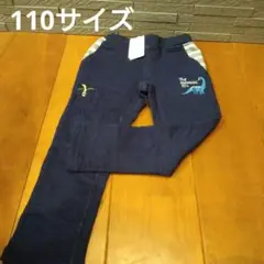 Item thumbnail for item 60061339-c92c-44d9-b7ad-6dfa934e0de2