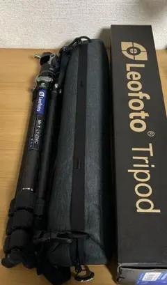 Item thumbnail for item 5c5c2610-9348-4b43-9939-5a4b9c2dfb4b