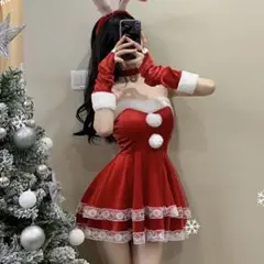 訳あり格安❣️ Lサイズ バニーサンタ コスプレ 5点セット【全体に赤色移りあり】