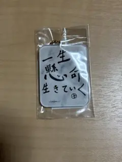 Item thumbnail for item ddab262a-8688-4d03-b49e-0960275ec676