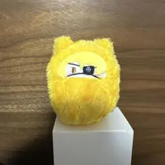 カラフルピーチ　くるみたぴぬい　たっつん　からピチ