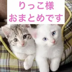 りっこ様 リクエスト 3点 まとめ商品