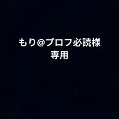 もり@プロフ必読様　専用