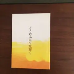 そこにのみ光輝く パンフレット