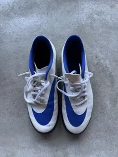 Item thumbnail for item fcd6bf15-9a68-4277-9811-da7039edb7ab