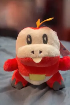 ポケモン ホゲータ ぬいぐるみ タグ付き 美品