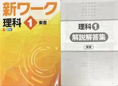 Item thumbnail for item fff91bf1-8560-4b12-afc0-b76aabcaa484