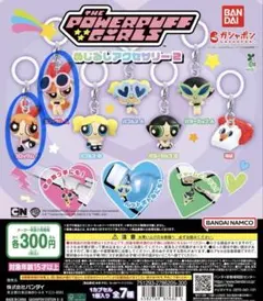 パワーパフガールズ めじるしアクセサリー2 ブロッサム セット