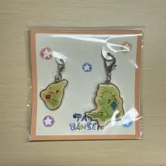 2019年ポケモンセンター限定 TAIKI-BANSEI 大器晩成 砂時計 進化するほど強くなる！ 頼れる「大器晩成」なポケモンたちの