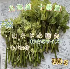 M_N様専用】北海道産 山ウド 若芽 500g - メルカリ