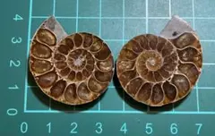 Hikari様 リクエスト 3点 まとめ商品