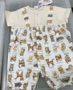 yukiemon バースデー　こねこ図鑑ロンパース 60-70cm オフベージュ