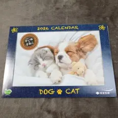 Item thumbnail for item 7be3ce84-0703-4576-b934-fc3089cca9ed