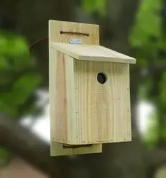 Item thumbnail for item b8975e67-1a66-40ed-b19b-84b9334a5d97