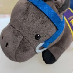 ライスシャワー BIGぬいぐるみ 第53回菊花賞 約40cm - メルカリ