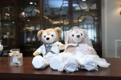 ぬいぐるみ衣装(ぬいぐるみは付きません)