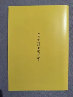 堀内賢雄 生まれ直しやりなおし パンフレット DVD - メルカリ