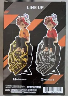 Crazy Raccoon Arisakaaa フィギュア A