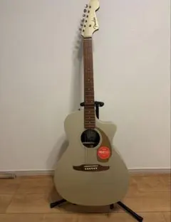 Fender エレアコ シャンパンカラー うっち様専用 - メルカリ
