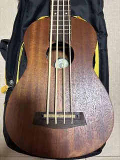 美品 KALA ウクレレベース UBASS-EBY-FL フレットレス - メルカリ