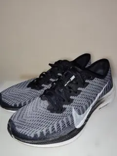 Item thumbnail for item 9d5b1b4e-a451-4689-9096-a18b21434de5