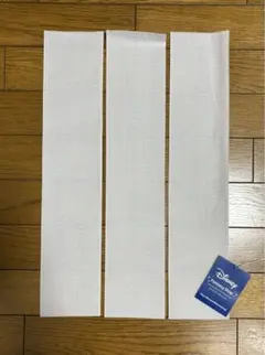 Item thumbnail for item 09a44f94-cbd9-43d4-a261-0676b5ff7cac