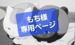 もち様専用ページ