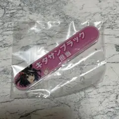 ウマ娘 担当称号アクリルバッジ キタサンブラック&ファインモーション 