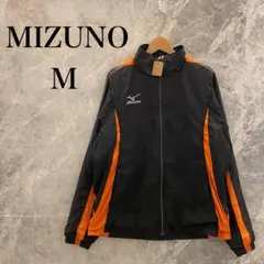 Item thumbnail for item e1befd04-d96b-4a88-b567-c0135322e82c