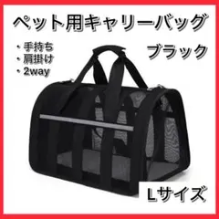 Item thumbnail for item 2ec7031d-8291-4156-8acc-2e9fa8aaa79b