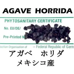 K  T様 リクエスト 2点 まとめ商品