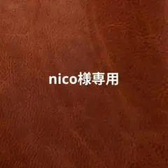 専用