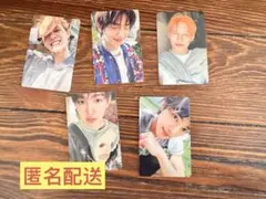 cortis weverse特典トレカ 5枚セット