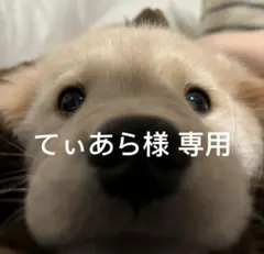 てぃあら様 専用