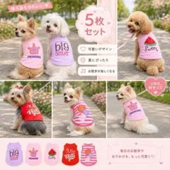犬服 5枚セット M 小型犬 タンクトップ 夏服 薄手 ピンク 夏用1のサムネイル