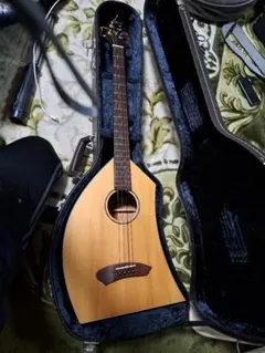 Item thumbnail for item b0d4590e-d42c-489c-ad94-baa56b9daba9