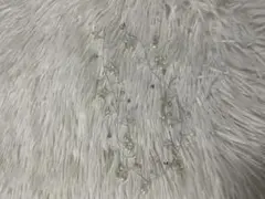 髪飾り ペアアレンジ