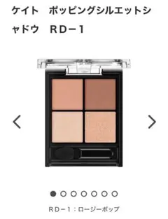 KATE ポッピングシルエットシャドウ RD-1