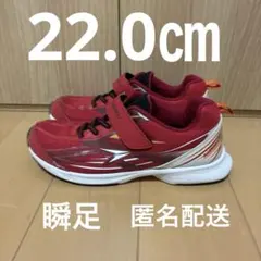 最終価格　瞬足　スニーカー　22.0㎝　赤