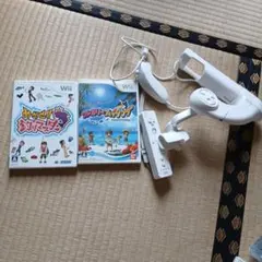 【お得】目指せ釣りマスター、ファミリーフィッシング、サオコン、wiiリモコン