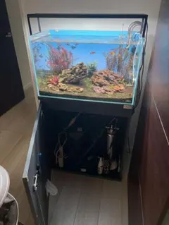 ADA アクアデザインアマノ ガラス水槽90×45×45台付 - メルカリ