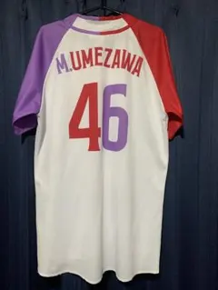 Item thumbnail for item 51a92c55-3d53-4c9e-b2df-2bdd4ce2a850