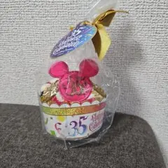 ディズニーランド ミニタオル 35周年 記念 土産