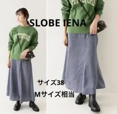 SLOBEIENA スローブイエナ　ロングスカート　38 M相当　フレアスカート