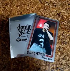 StrayKids エコパ スタジアム バンチャン ライブフォトカード 事後販売