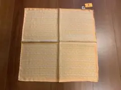 Item thumbnail for item 80eff14d-c8fc-4b5d-aec2-a274c37d0097